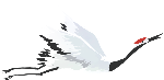 动物鸟仙鹤白鹤装饰