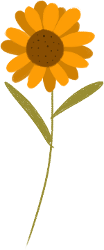花朵花卉植物插画黄色