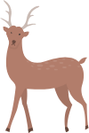 鹿动物生物驯鹿卡通