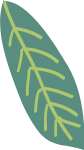 植物绿植叶子树叶装饰