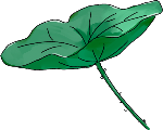 绿植装饰元素卡通装饰叶子