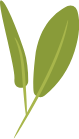 装饰元素绿色植物叶树叶