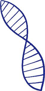 基因手绘生物遗传蓝色