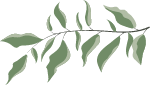 绿植叶子装饰元素卡通绿色
