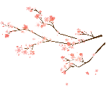 绿植卡通装饰粉色桃树