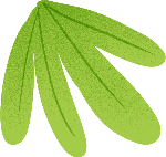 植物绿植叶子装饰装饰元素
