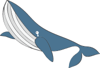 鲸鱼鲸动物卡通生物