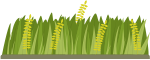 植物卡通装饰元素手绘绿叶