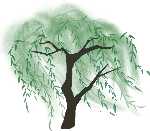 柳树树枝手绘绿色树