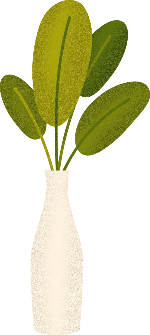 盆栽叶子绿植植物花瓶