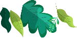 绿叶叶子植物装饰卡通