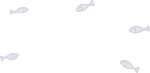 鱼紫色背景位图照片