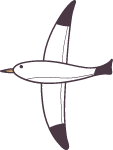 海鸥鸟鸟类飞翔飞鸟