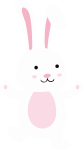 兔子白兔动物野生动物装饰