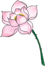 花卉装饰手绘粉植物