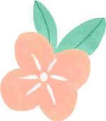 花朵植物装饰元素粉色花