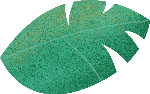 树叶绿色插画装饰植物