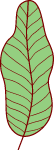 自然叶子芭蕉叶植物装饰元素