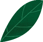 植物绿植卡通装饰叶子