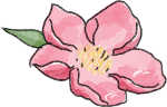 绿植装饰元素粉色手绘桃花