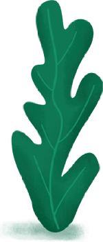 绿色树叶植物叶子绿叶