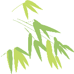 绿植自然手绘装饰元素植物