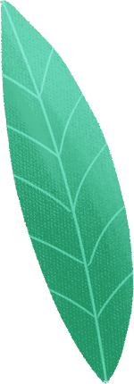 手绘叶子植物绿植树叶
