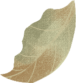 绿植树叶叶子褐色装饰元素