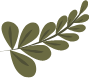 绿色手绘装饰叶子植物