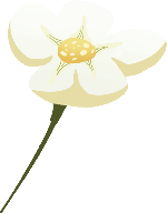 花花卉植物卡通装饰