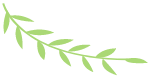 植物绿植装饰卡通柳树