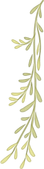 树枝枝条黄绿色装饰藤条