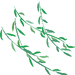 树叶柳树枝条插画装饰绿色