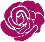 可变色玫瑰植物装饰紫色