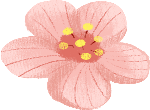 花朵装饰粉色花卉植物