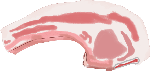 装饰元素猪肉手绘插画肉类