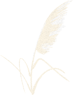 植物装饰元素手绘自然米白