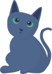 英国短毛猫猫猫咪蓝色灰色