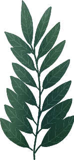 植物绿叶绿色装饰装饰元素