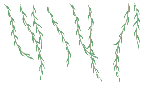 垂柳绿植树枝绿色装饰元素