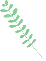 植物装饰手绘叶子绿植