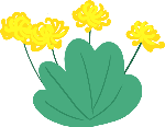 手绘菊花花朵花卉黄色