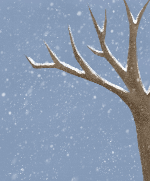 树树干树木枯树下雪