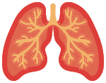 肺器官呼吸健康卡通