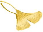 叶子树叶装饰元素金色系手绘