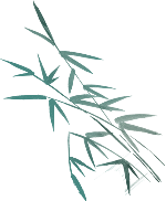 竹子竹叶绿色水墨植物