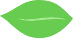 植物绿叶手绘绿色装饰元素