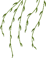 氧气装饰元素绿色柳树植物
