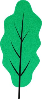 装饰元素植物绿植树生态