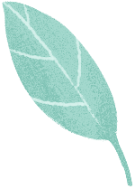 植物蓝色树叶绿叶装饰
